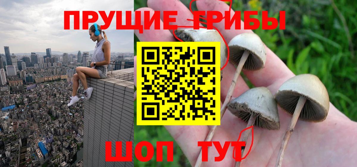 Галлюциногенные грибы Cubensis Киров